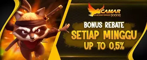 VIP Rebate Slot Harian 0.5% promotion